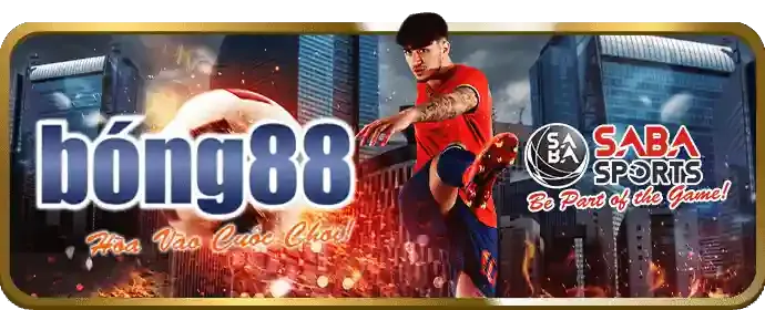 Tin tức thể thao 181bet4